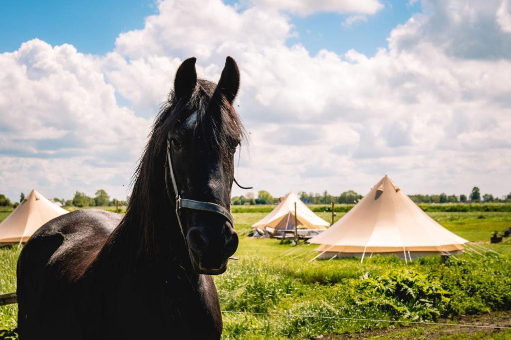 Smuk Lytse Bell Tent Echtenerbrug エクステリア 写真